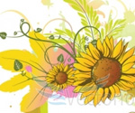 Summer floral